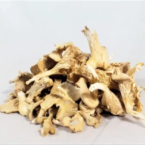 মাশরুম ওয়েস্টার (১ কেজি)